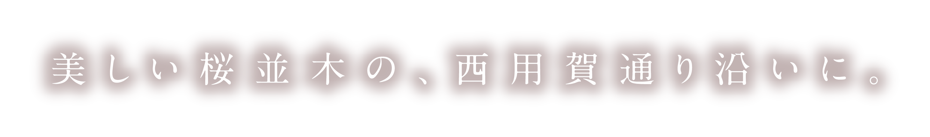 美しい桜並木の、西用賀通り沿いに。