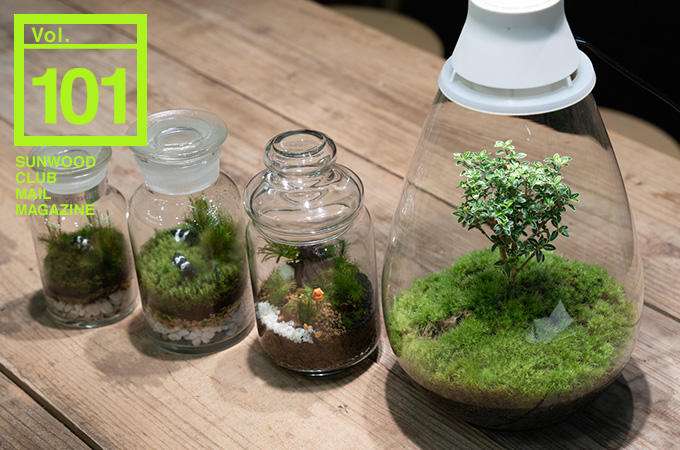 ガラス瓶の中で生きる小さな森 苔テラリウム 入門 ココジカ 港区や都心部での新築マンションから仲介 リフォームまでの住まい情報をお届けします ガラス瓶の中で生きる小さな森 苔テラリウム 入門 ココジカ 港区や都心部での新築マンションから仲介 リフォームまでの住まい情報をお届けします