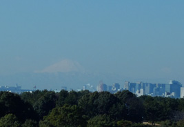 富士山が見える