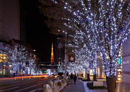 六本木けやき坂通り「SNOW & BLUE」