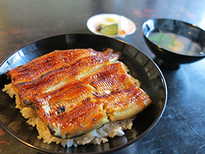 関東風をベースに、時代ごとに少しずつ味を変えている「鰻重」。鰻は薬品を一切使わずに育て、タレも無添加の調味料でつくっています。