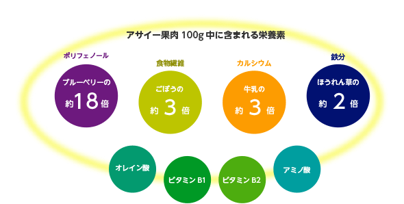 アサイー果肉100gに含まれる栄養素