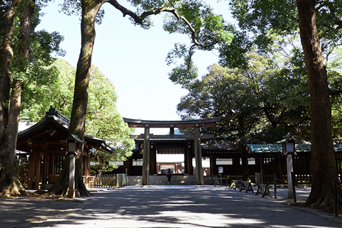 明治神宮鳥居