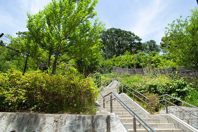 佐伯山緑地