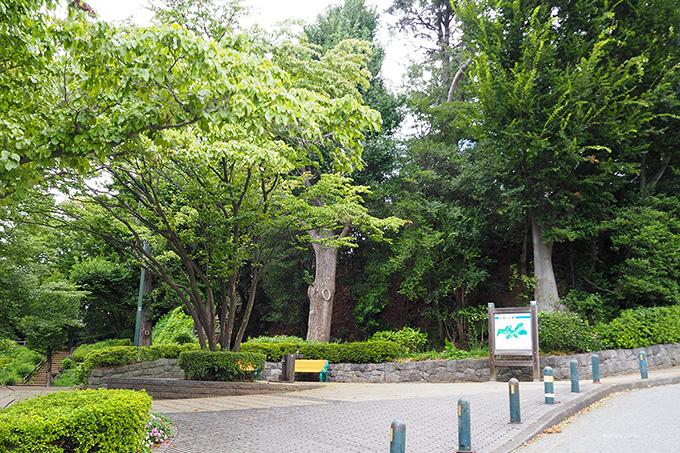 大倉山公園