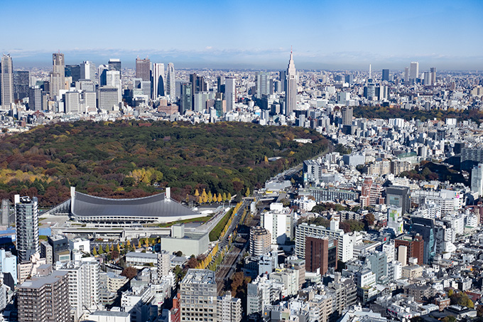 明治神宮の広大な森