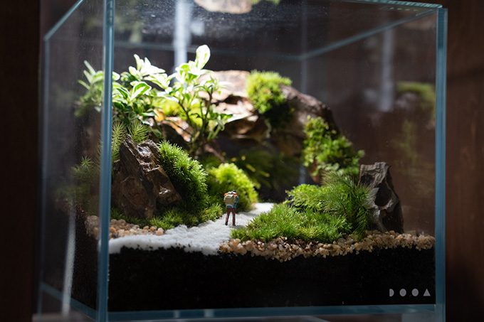 スケールの大きな作品にため息|ガラス瓶の中で生きる小さな森「苔