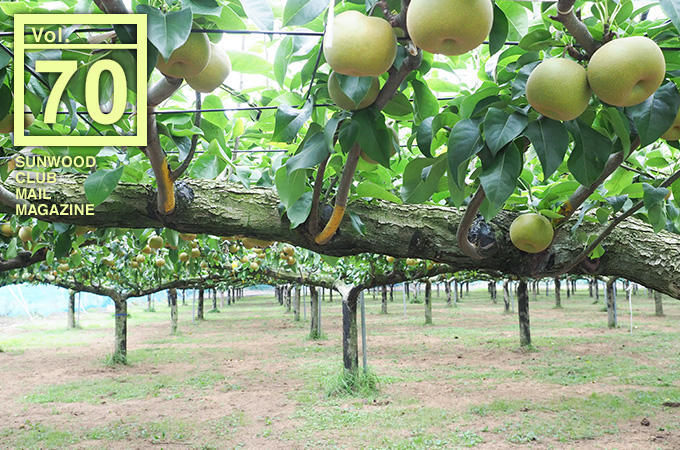 元パティシエの 梨マイスター に訊く多彩な和梨の世界 ココジカ 港区や都心部での新築マンションから仲介 リフォームまでの住まい情報をお届けします